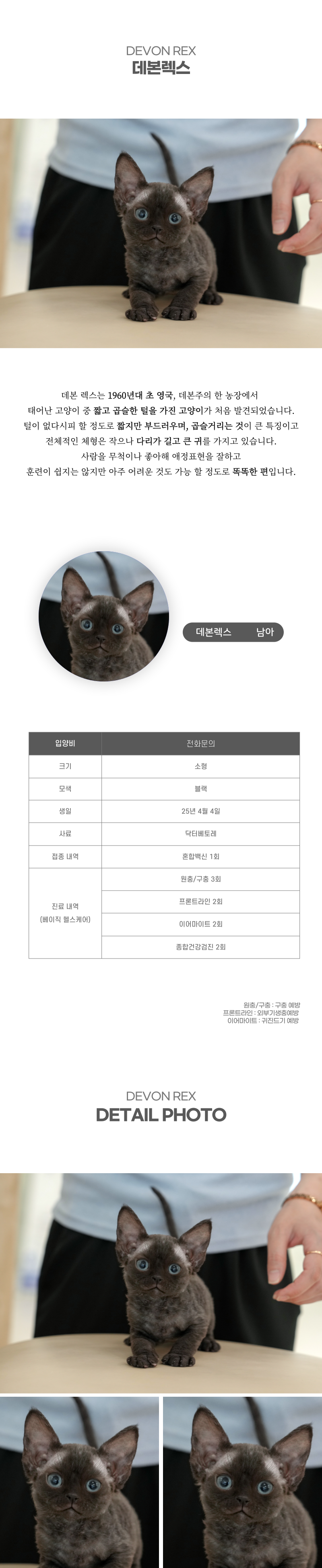 데본렉스_상세이미지_2