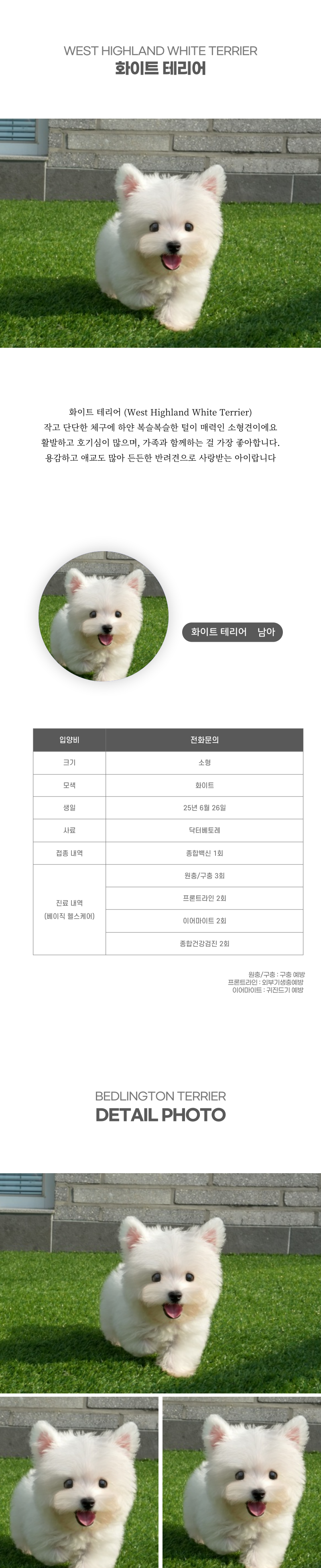 화이트테리어_상세이미지_2