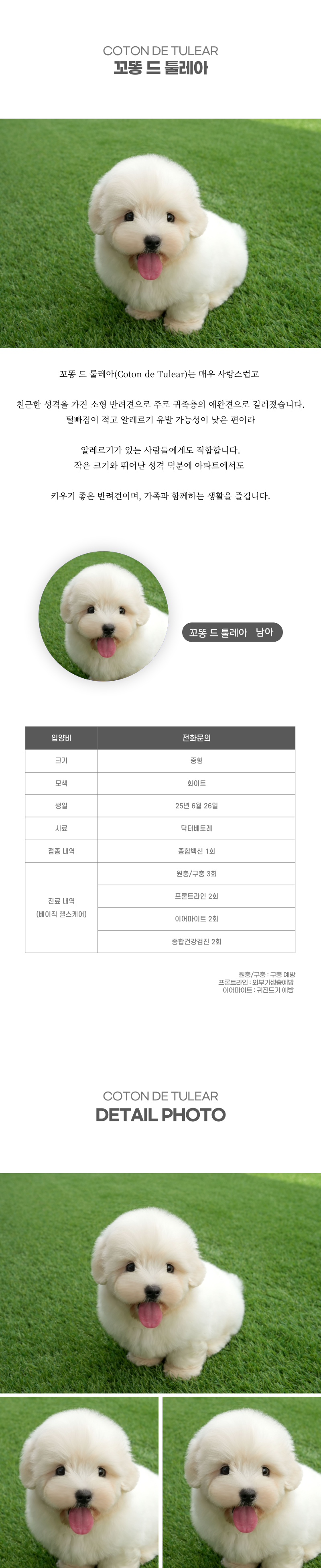 꼬똥_상세이미지_2