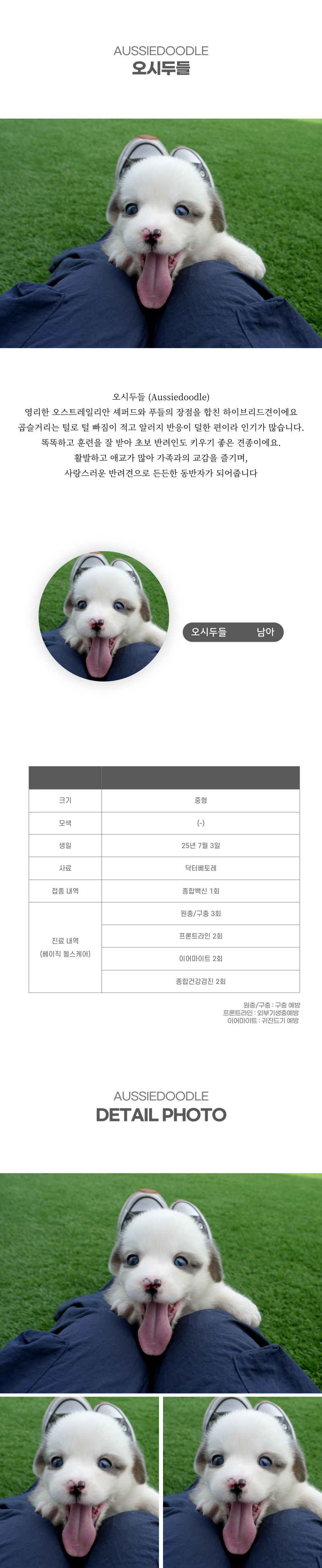오시두들_상세이미지_2