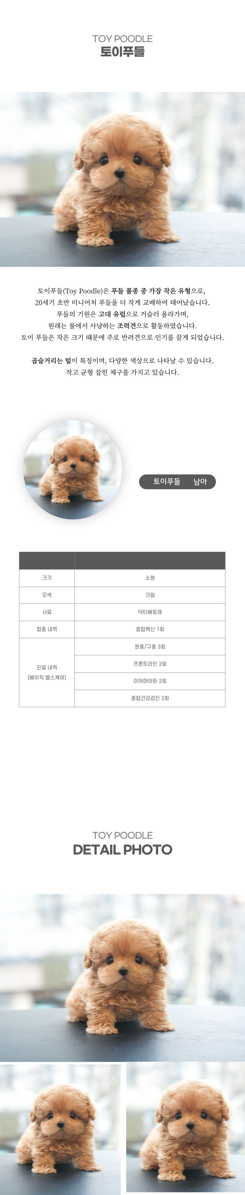 토이푸들_상세이미지_2