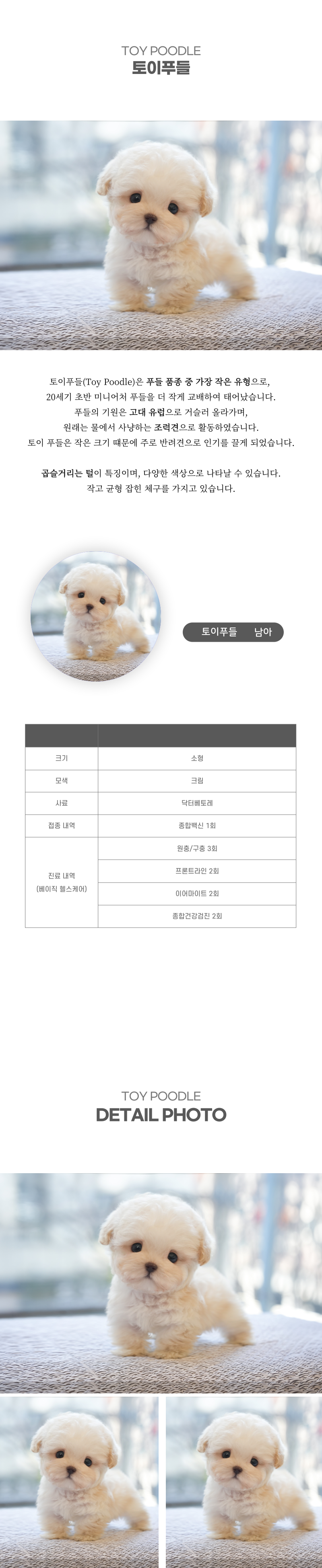 토이푸들_상세이미지_2