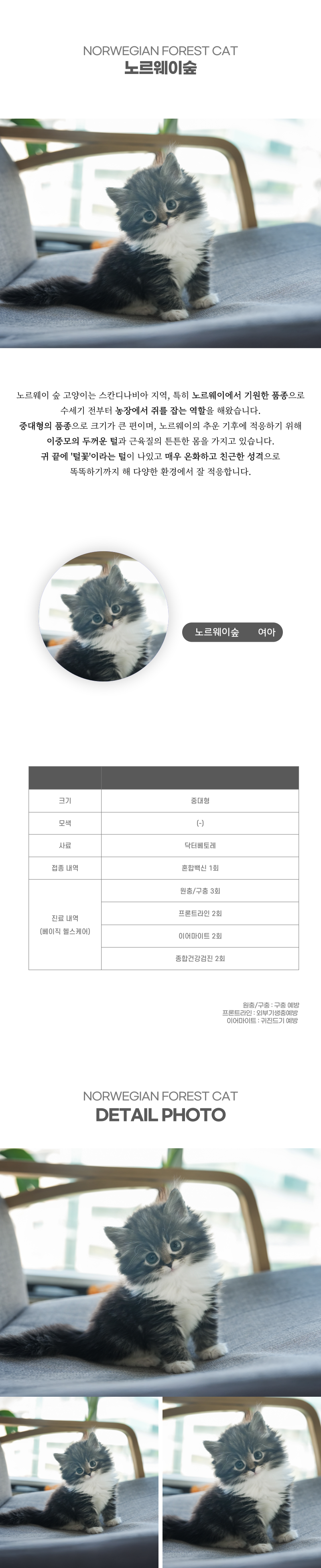 노르웨이숲_상세이미지_2