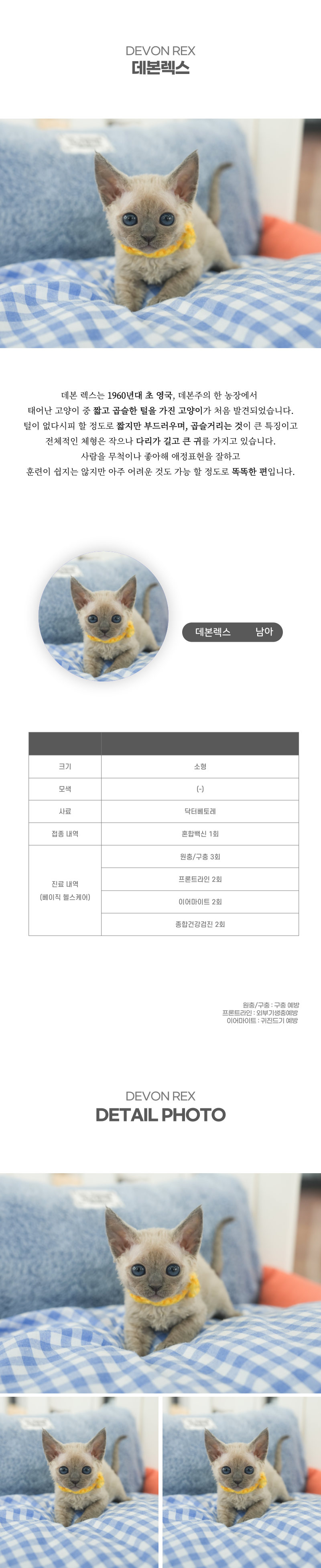 데본렉스_상세이미지_2