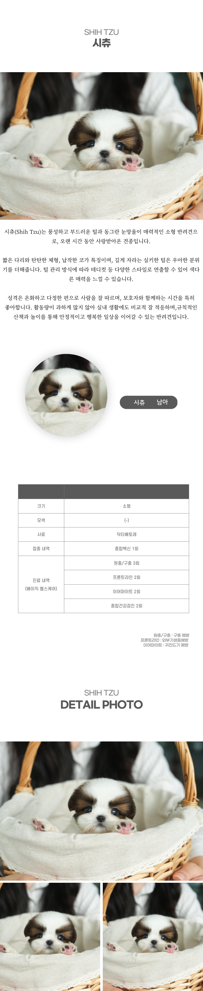 시츄_상세이미지_2