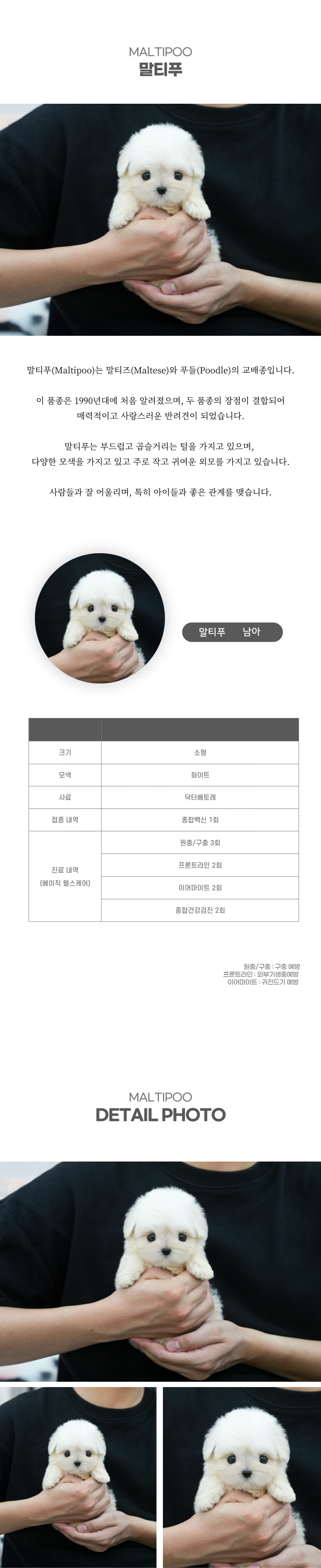 말티푸_상세이미지_2