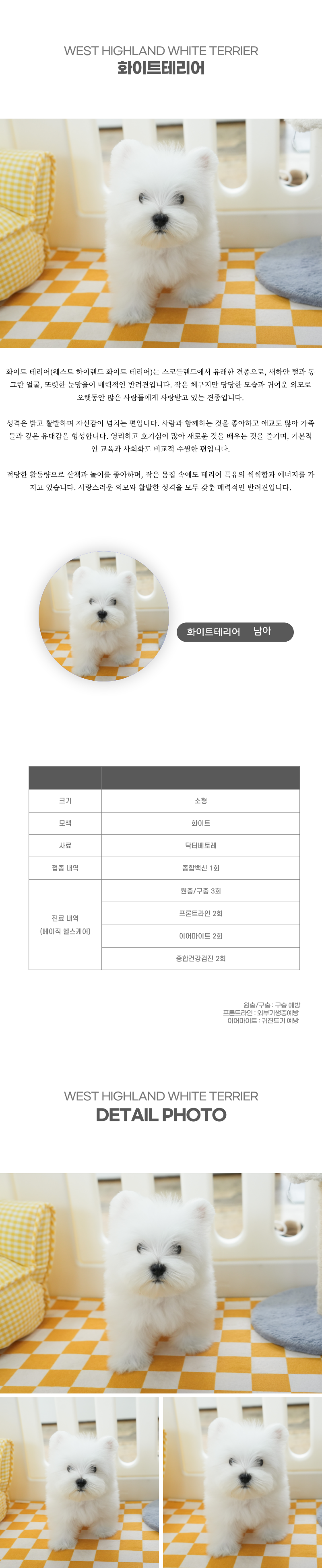 화이트테리어_상세이미지_2