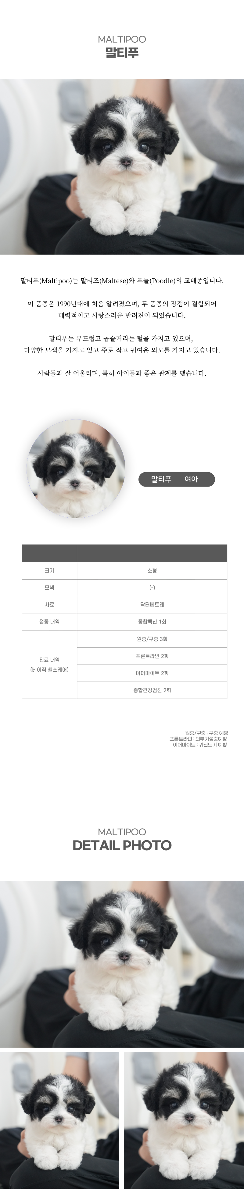 말티푸_상세이미지_2