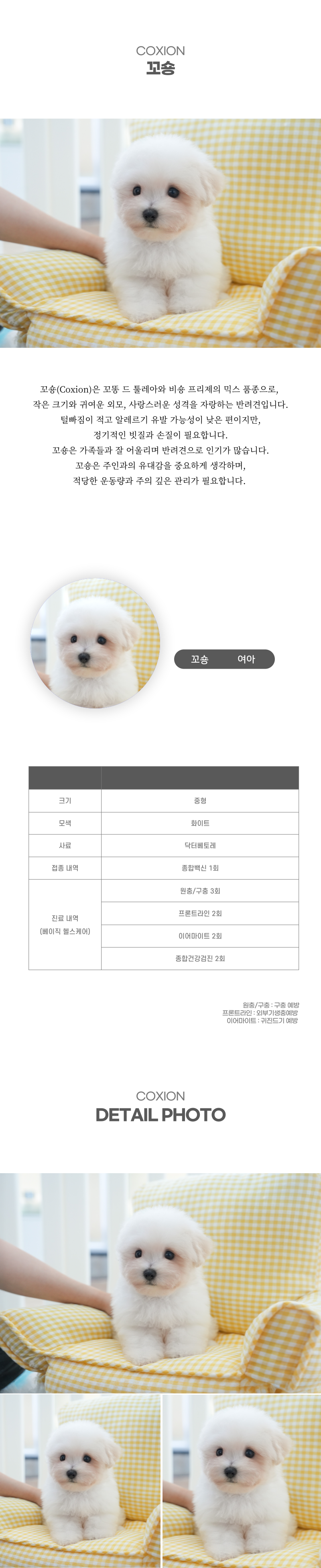 꼬숑_상세이미지_2