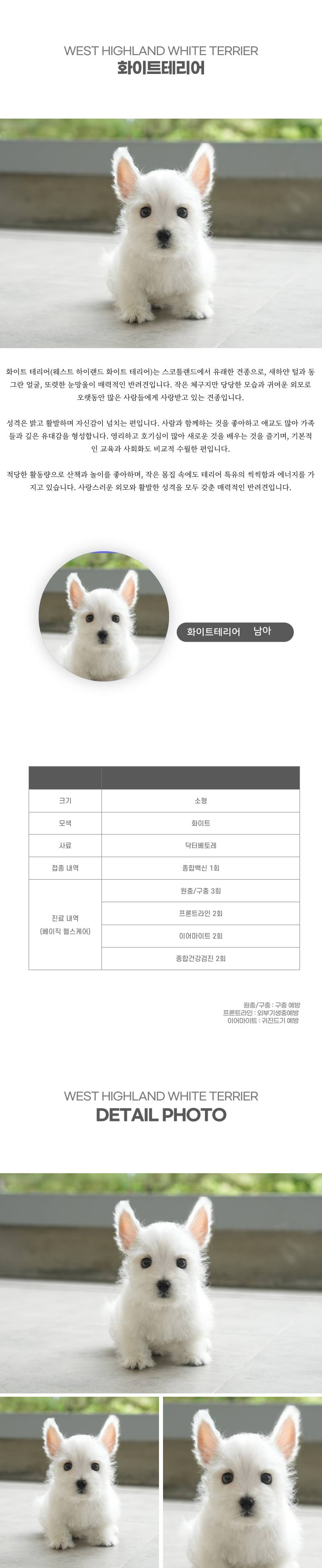 화이트테리어_상세이미지_2