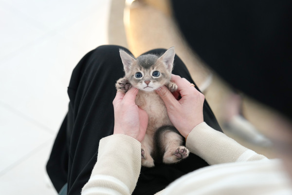 아비_95_남_일급비밀(46)_블루.jpg