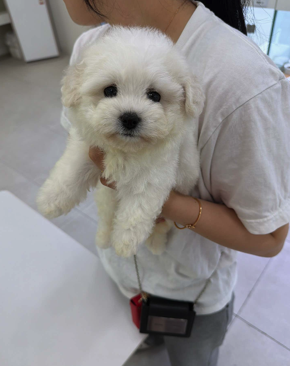 네이버실제리뷰_상세페이지_1