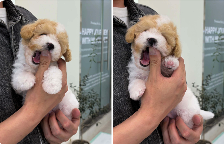 네이버실제리뷰_상세페이지_1