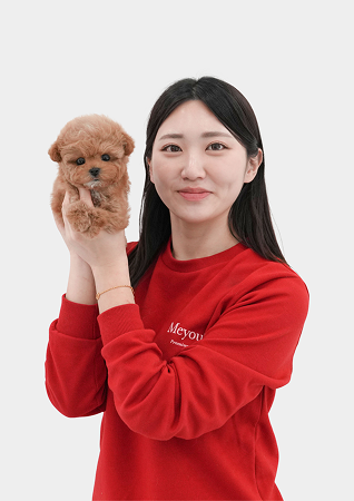 미유펫서울_펫플래너4